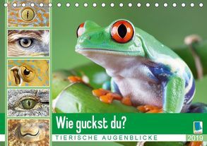 Wie guckst du? Tierische Augenblicke (Tischkalender 2019 DIN A5 quer) von CALVENDO