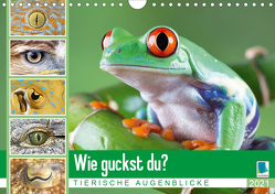 Wie guckst du? Tierische Augenblicke (Wandkalender 2021 DIN A4 quer) von CALVENDO