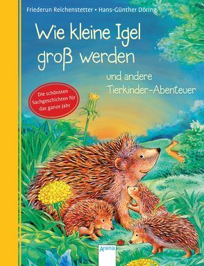 Wie kleine Igel groß werden und andere Tierkinder-Abenteuer von Döring,  Hans Günther, Reichenstetter,  Friederun
