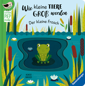 Edition Piepmatz: Wie kleine Tiere groß werden: Der kleine Frosch von Baruzzi,  Agnese, Clima,  Gabriele, Grimm,  Sandra