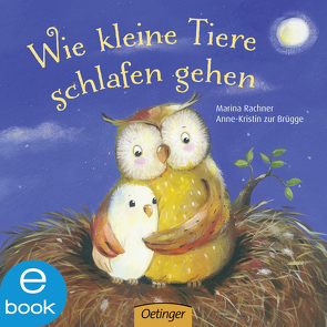 Wie kleine Tiere schlafen gehen von Brügge,  Anne-Kristin zur, Rachner,  Marina