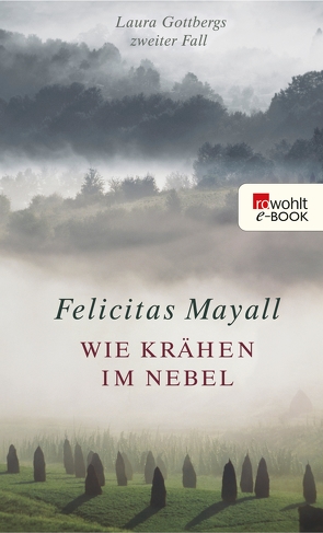 Wie Krähen im Nebel: Laura Gottbergs zweiter Fall von Mayall,  Felicitas