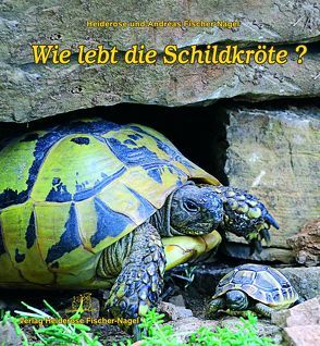 Wie lebt die Schildkröte? von Fischer-Nagel Andreas, Fischer-Nagel,  Heiderose