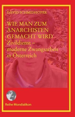 Wie man zum Anarchisten gemacht wird von Schmidhofer,  David