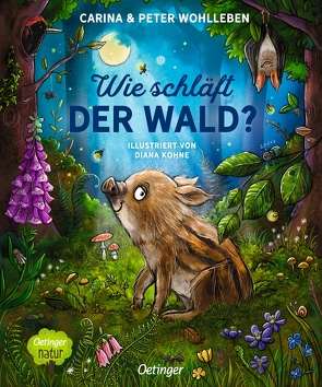 Wie schläft der Wald? von Kohne,  Diana, Wohlleben,  Carina, Wohlleben,  Peter