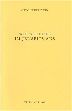 Wie sieht es im Jenseits aus? von Feuerstein,  Otto