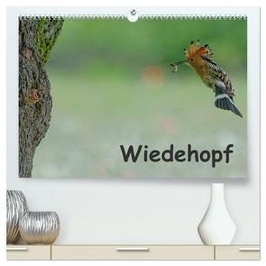 Wiedehopf (hochwertiger Premium Wandkalender 2024 DIN A2 quer), Kunstdruck in Hochglanz von Wolf,  Gerald