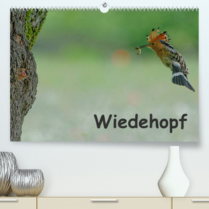 Wiedehopf (Premium, hochwertiger DIN A2 Wandkalender 2023, Kunstdruck in Hochglanz) von Wolf,  Gerald