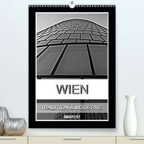 Wien, Tradition und Moderne (Premium, hochwertiger DIN A2 Wandkalender 2020, Kunstdruck in Hochglanz) von Plesky,  Roman