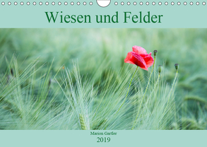 Wiesen und Felder (Wandkalender 2019 DIN A4 quer) von Gartler,  Marion