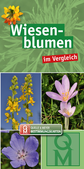 Wiesenblumen im Vergleich von Quelle & Meyer Verlag