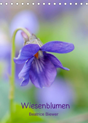 Wiesenblumen (Tischkalender 2022 DIN A5 hoch) von Biewer,  Beatrice