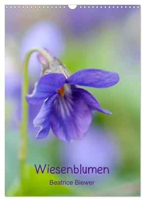 Wiesenblumen (Wandkalender 2024 DIN A3 hoch), CALVENDO Monatskalender von Biewer,  Beatrice