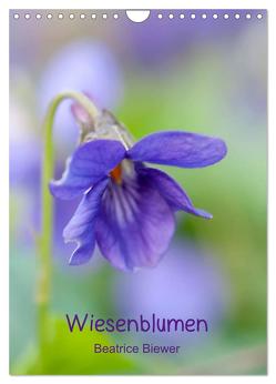 Wiesenblumen (Wandkalender 2024 DIN A4 hoch), CALVENDO Monatskalender von Biewer,  Beatrice