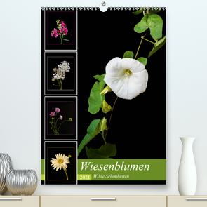 Wiesenblumen – Wilde Schönheiten (Premium, hochwertiger DIN A2 Wandkalender 2021, Kunstdruck in Hochglanz) von Beuck,  Angelika