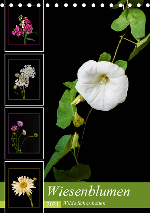 Wiesenblumen – Wilde Schönheiten (Tischkalender 2021 DIN A5 hoch) von Beuck,  Angelika