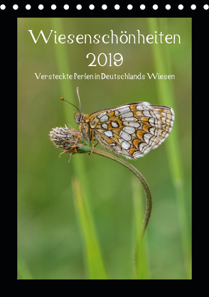 Wiesenschönheiten (Tischkalender 2019 DIN A5 hoch) von Birzer,  Christian