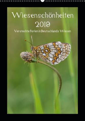 Wiesenschönheiten (Wandkalender 2019 DIN A2 hoch) von Birzer,  Christian