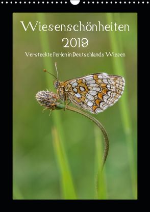 Wiesenschönheiten (Wandkalender 2019 DIN A3 hoch) von Birzer,  Christian