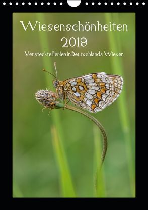 Wiesenschönheiten (Wandkalender 2019 DIN A4 hoch) von Birzer,  Christian