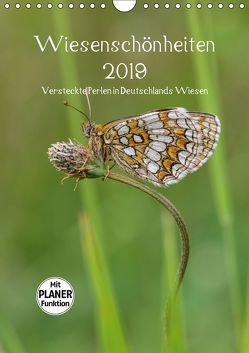 Wiesenschönheiten (Wandkalender 2019 DIN A4 hoch) von Birzer,  Christian