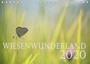 Wiesenwunderland 2020 (Tischkalender 2020 DIN A5 quer) von Wandel,  Juliane