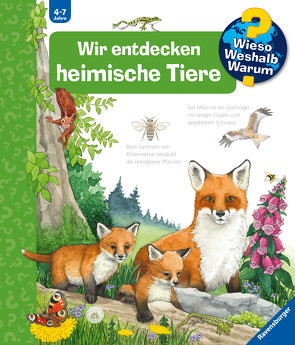 Wieso? Weshalb? Warum?, Band 71: Wir entdecken heimische Tiere von Ebert,  Anne, Mennen,  Patricia