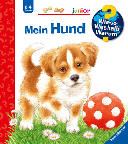 Wieso? Weshalb? Warum? junior, Band 41: Mein Hund von Mennen,  Patricia, Weller,  Ursula