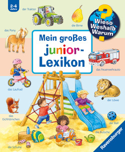 Wieso? Weshalb? Warum? Mein großes junior-Lexikon von Mennen,  Patricia, Weller,  Ursula