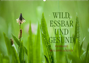 WILD, ESSBAR UND GESUND Essbare Wildpflanzen (Wandkalender 2022 DIN A2 quer) von Wuchenauer pixelrohkost.de,  Markus