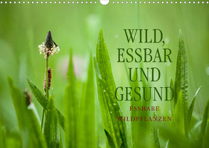 WILD, ESSBAR UND GESUND Essbare Wildpflanzen (Wandkalender 2022 DIN A3 quer) von Wuchenauer pixelrohkost.de,  Markus