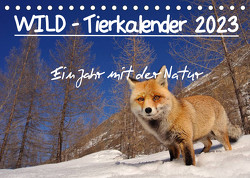 WILD – Tierkalender 2023 (Tischkalender 2023 DIN A5 quer) von Colombo,  Marco