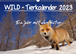 WILD – Tierkalender 2023 (Wandkalender 2023 DIN A3 quer) von Colombo,  Marco
