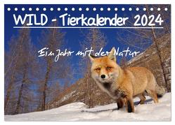 WILD – Tierkalender 2024 (Tischkalender 2024 DIN A5 quer), CALVENDO Monatskalender von Colombo,  Marco