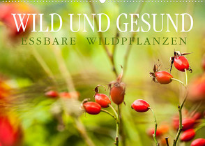 WILD UND GESUND Essbare Wildpflanzen (Wandkalender 2022 DIN A2 quer) von Wuchenauer pixelrohkost.de,  Markus