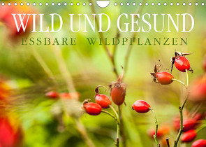 WILD UND GESUND Essbare Wildpflanzen (Wandkalender 2022 DIN A4 quer) von Wuchenauer pixelrohkost.de,  Markus