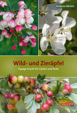 Wild- und Zieräpfel von Bärtels,  Andreas