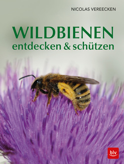 Wildbienen entdecken & schützen von Calvillo,  Dorothee, François,  Gabriele, Vereecken,  Nicolas