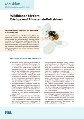 Wildbienen fördern – Erträge und Pflanzenvielfalt sichern von Mueller,  Andreas, Pfiffner,  Lukas