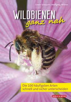 Wildbienen ganz nah von Scheuchl,  Erwin, Willner,  Wolfgang