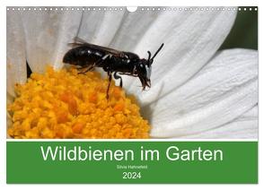 Wildbienen im Garten (Wandkalender 2024 DIN A3 quer), CALVENDO Monatskalender von Hahnefeld,  Silvia