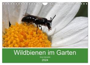 Wildbienen im Garten (Wandkalender 2024 DIN A4 quer), CALVENDO Monatskalender von Hahnefeld,  Silvia