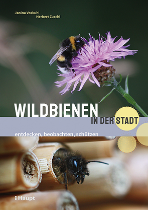 Wildbienen in der Stadt von Voskuhl,  Janina, Zucchi,  Herbert