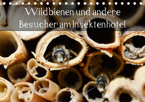 Wildbienen und andere Besucher am Insektenhotel (Tischkalender 2021 DIN A5 quer) von Frost,  Anja