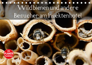 Wildbienen und andere Besucher am Insektenhotel (Tischkalender 2022 DIN A5 quer) von Frost,  Anja
