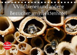 Wildbienen und andere Besucher am Insektenhotel (Tischkalender 2023 DIN A5 quer) von Frost,  Anja