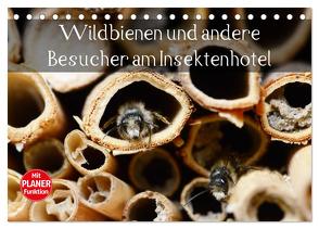 Wildbienen und andere Besucher am Insektenhotel (Tischkalender 2024 DIN A5 quer), CALVENDO Monatskalender von Frost,  Anja