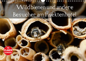 Wildbienen und andere Besucher am Insektenhotel (Wandkalender 2022 DIN A3 quer) von Frost,  Anja