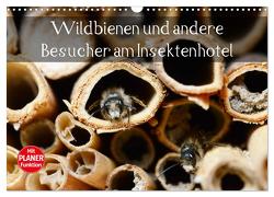 Wildbienen und andere Besucher am Insektenhotel (Wandkalender 2024 DIN A3 quer), CALVENDO Monatskalender von Frost,  Anja