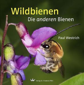 Wildbienen von Westrich,  Paul